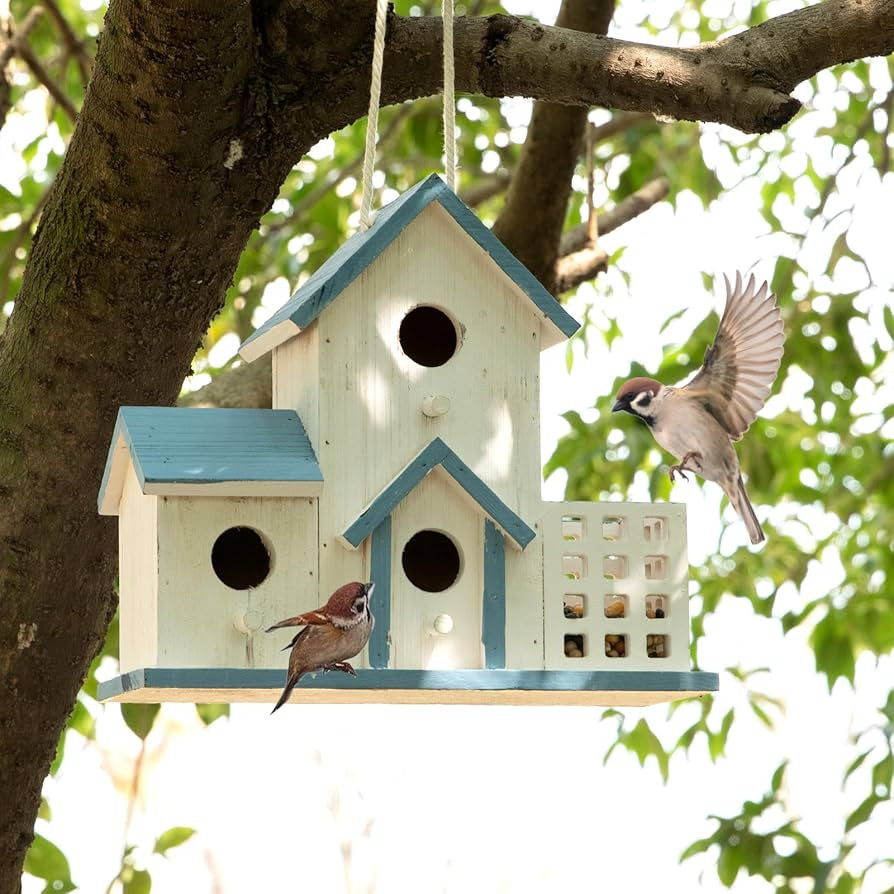 Birdhouse Premium Bluebird Houses for Outside Attract Beautiful Birds to Your Garden and Yard Dur... | Amazon (US)