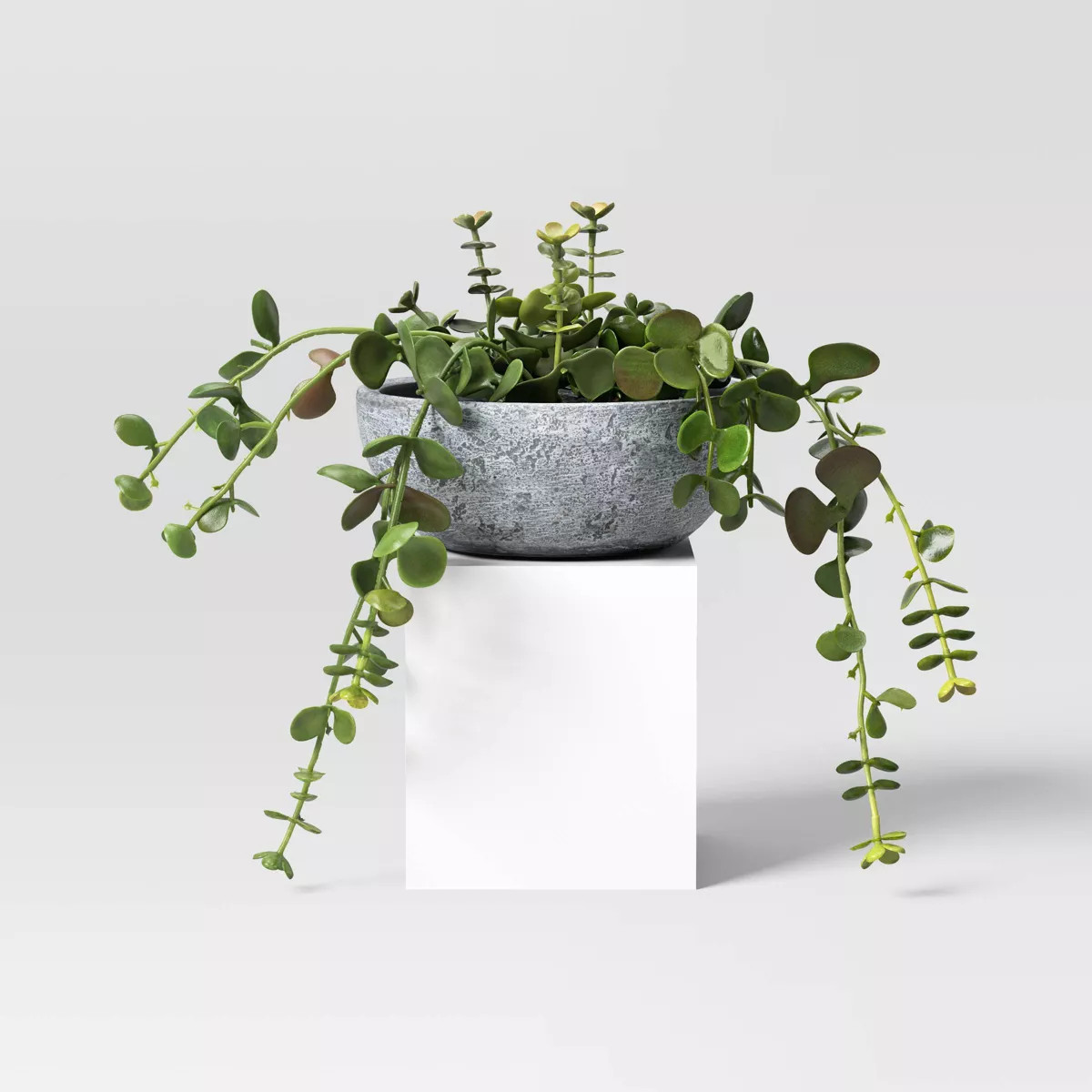 10" Trailing Sedum Artificial Plant - Threshold™ designed with Studio McGee | Target