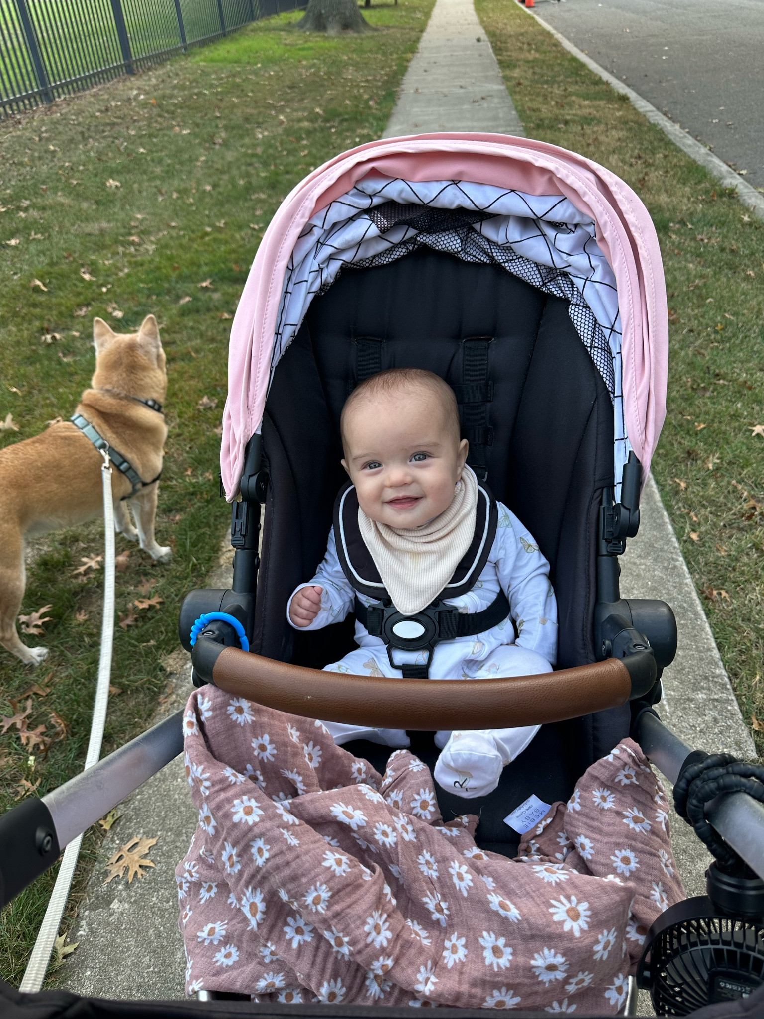 #LTKBaby #LTKKids #LTKFamily