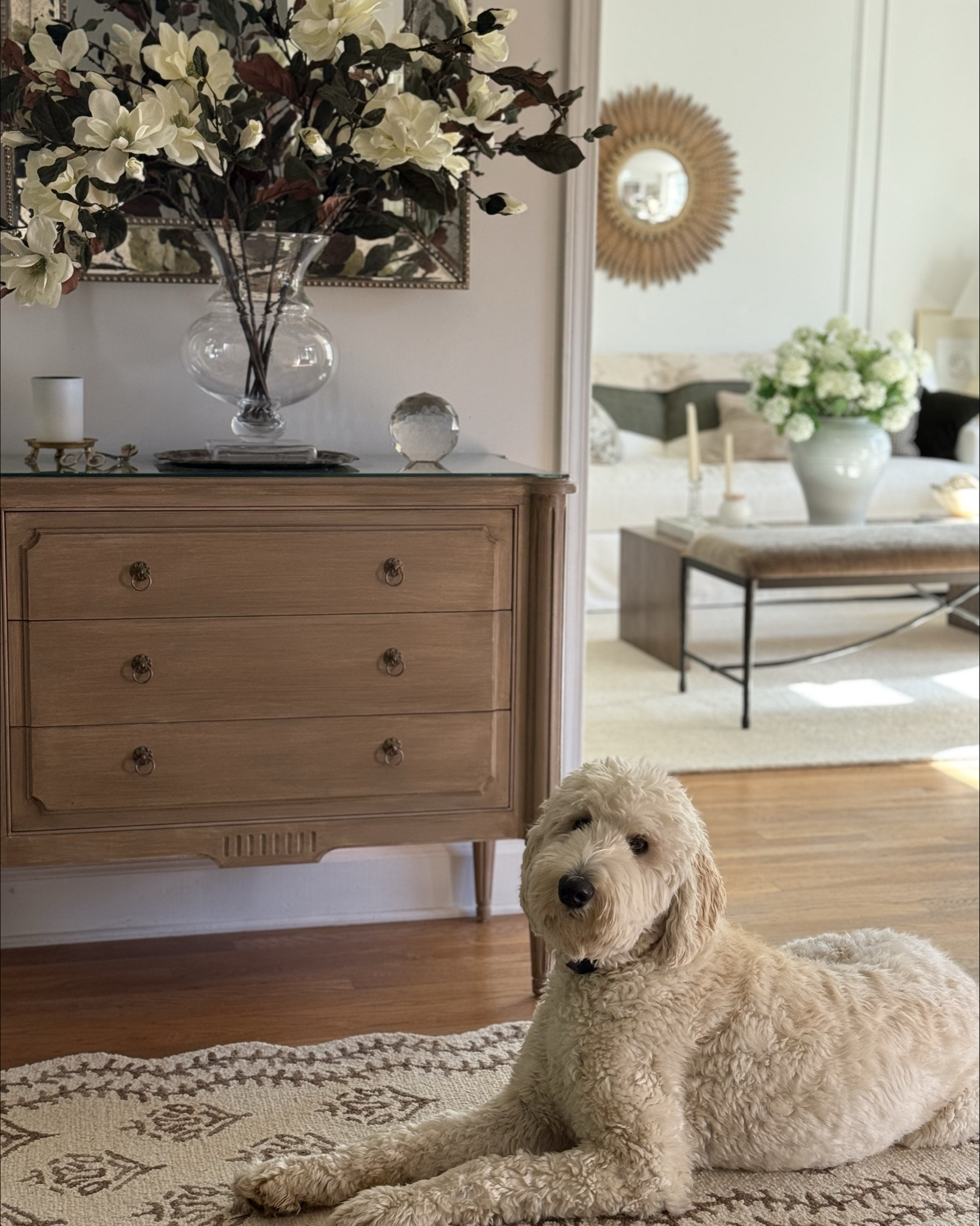 Proof that one small change can completely warm up a space!  This new @loloirugs x @riflepaperco Lisette runner brings just the right amount of softness, pattern, and charm to our hallway—and apparently, it’s been officially claimed 🐾 (gifted)

#hallwaystyle #homedecor #neutralhome #entrywayinspo #cozyhome #rugrunner #timelessdesign #dogapproved

#LTKHome