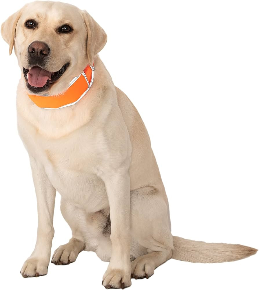 Hi-Vis Dog Cooling Collar - Orange Reflective Re-Freezable Ice Collar (Large) | Amazon (US)