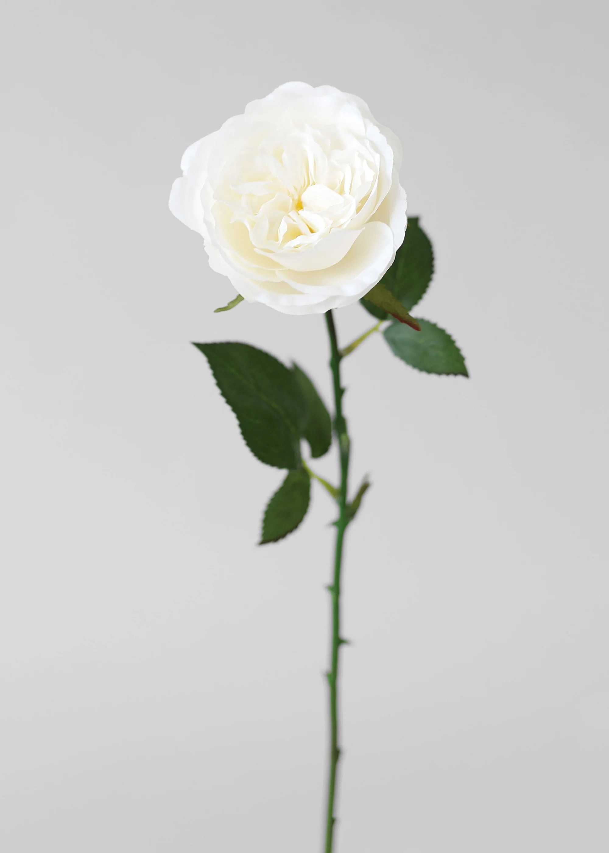White Fake English Cabbage Rose - 20.5" | Afloral