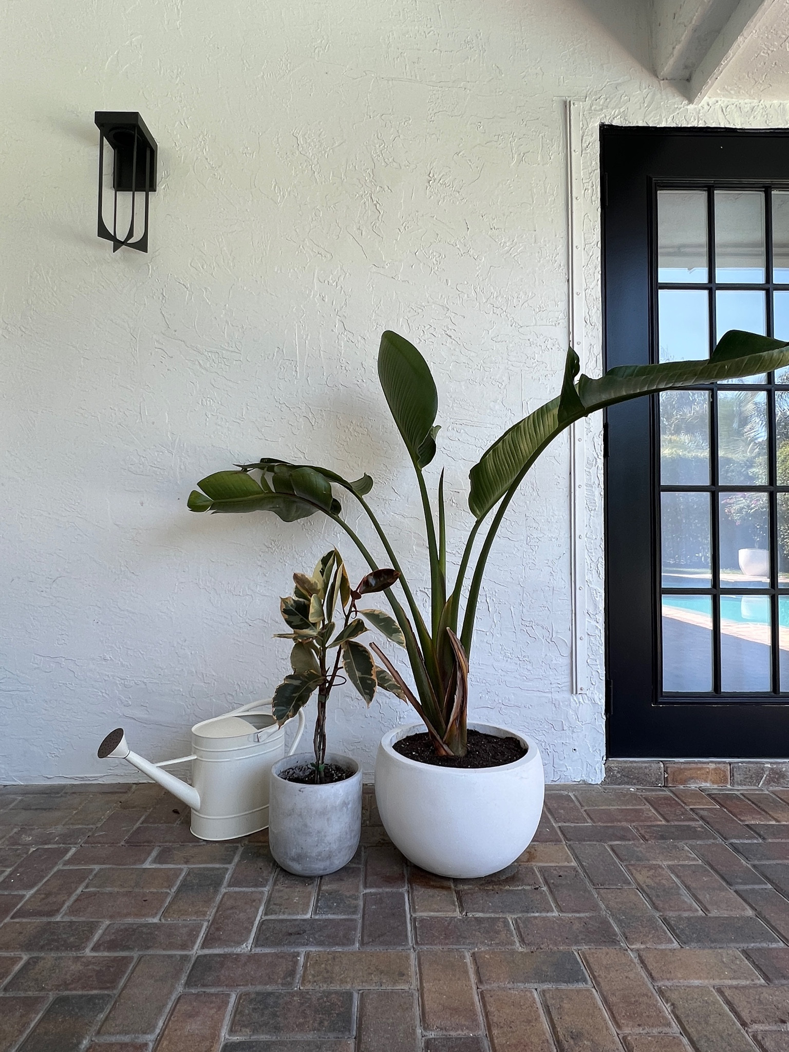 Outdoor planters. The white comes as a set with 3 sizes this is the medium size. Small concrete planter. #meandmrjones 

#LTKhome #LTKunder50 #LTKunder100