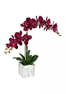 Potted Real Touch Dark Purple Phalaenopsis Spray | Belk