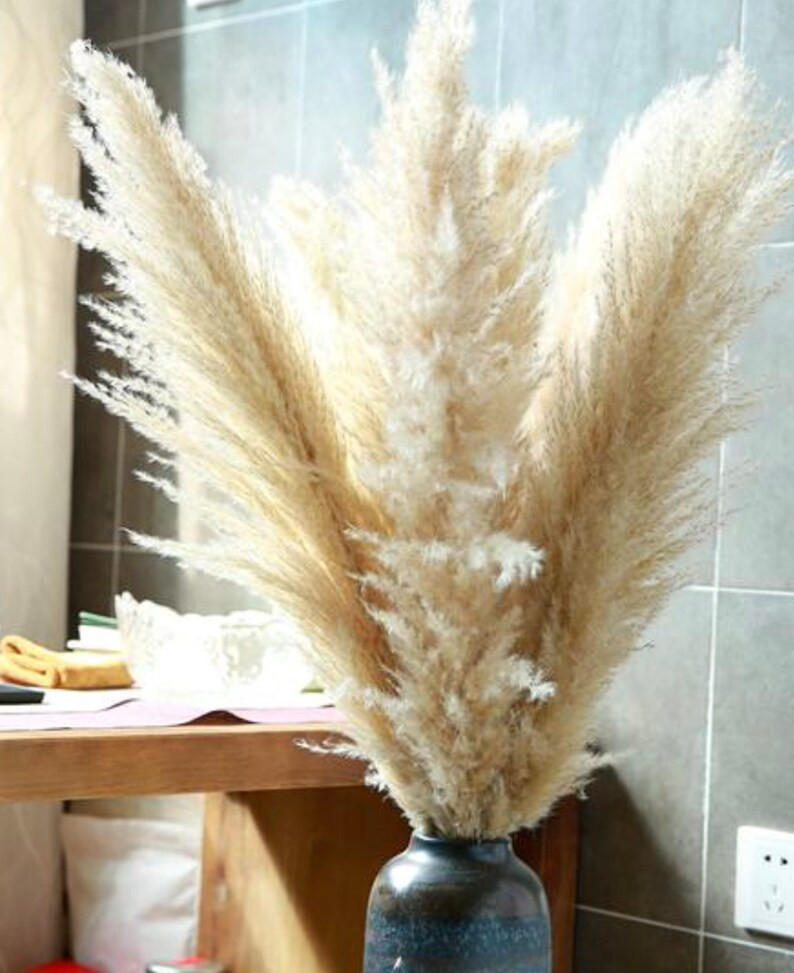 PAMPAS GRASS Extra Large 36/48  Dried Floral - Etsy | Etsy (US)