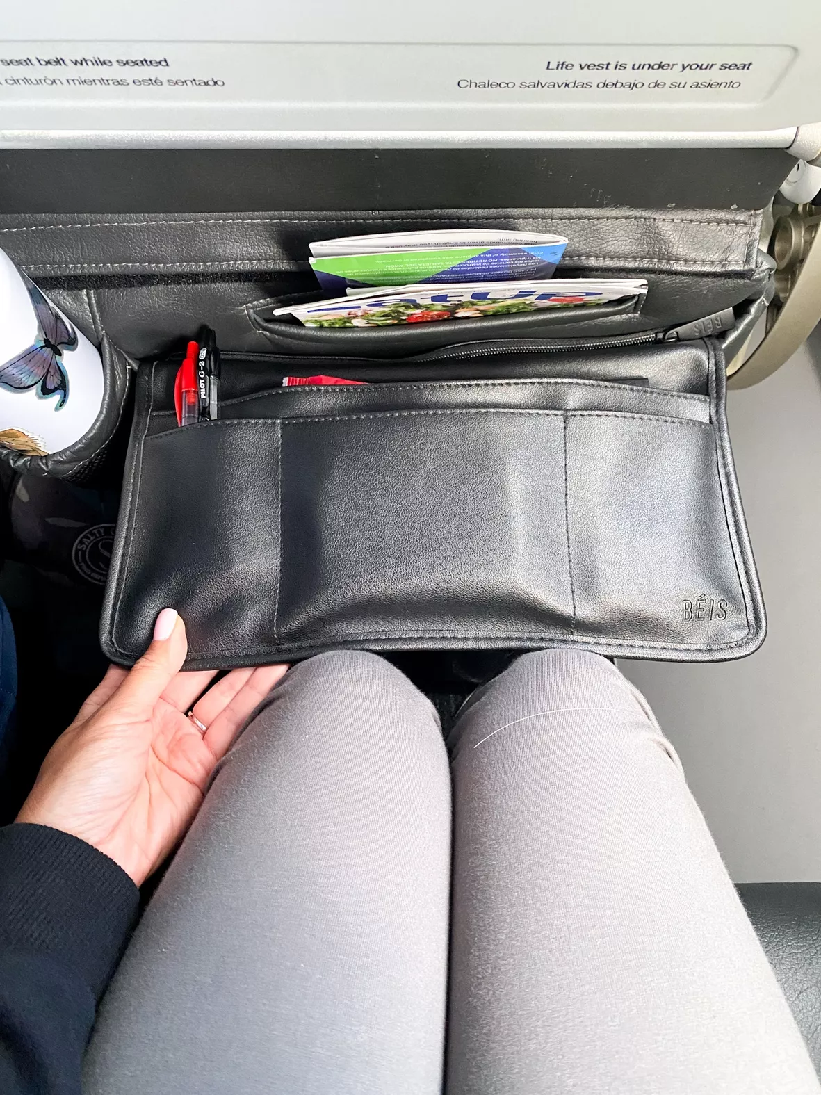 Airplane Pockets Airplane Tray … curated on LTK