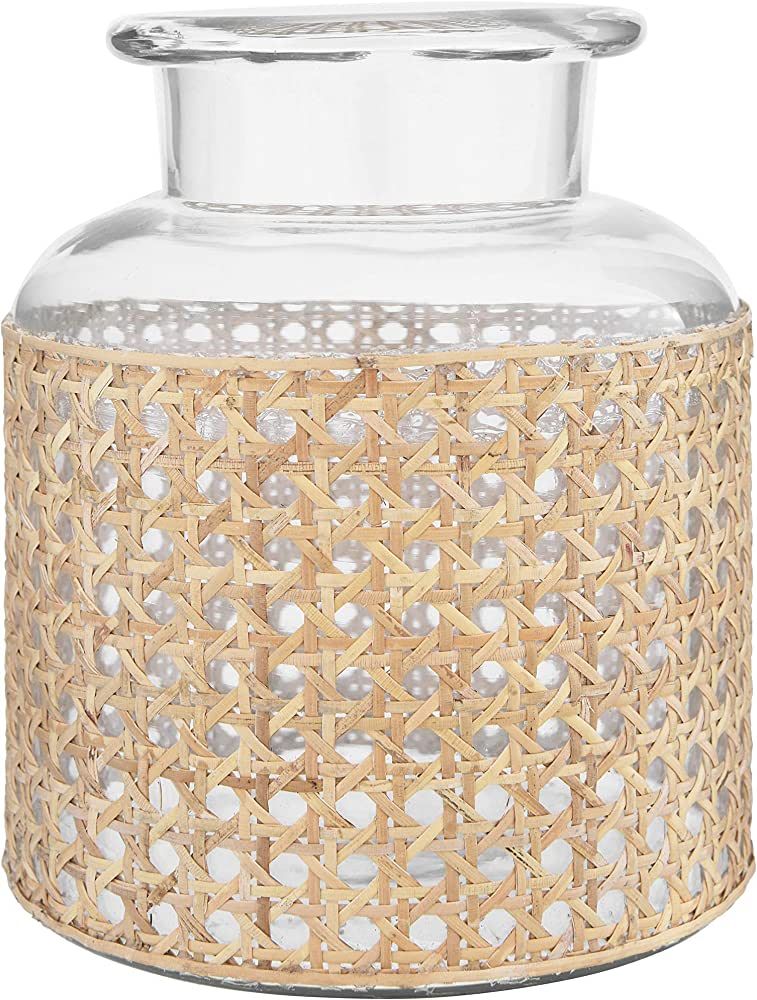 Bloomingville 8" H Glass Decorative Cane Sleeve Vase, Clear | Amazon (US)