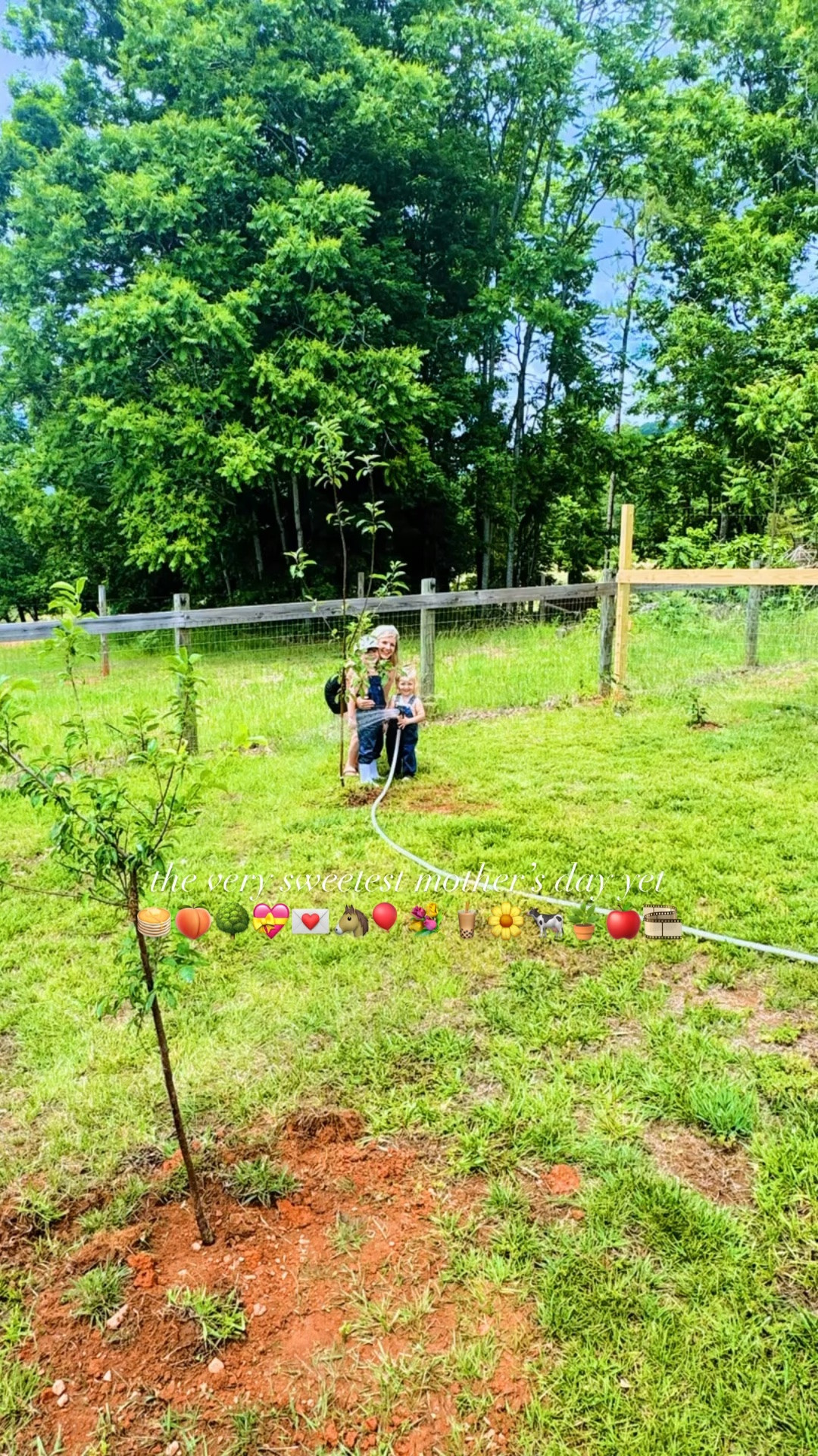 h a p p y  m a m a ‘ s  d a y 🤱🌼💝🎞️🍑🌳🍎🌿🧋🌾🥞🍳🎈🫐💌🚜🐴💜🌱🐮💖 #sweetestmothersdayyet #spoiledbymyboys 

Woke up to breakfast 🥞🍳 in bed 🛌 this morning ☕️ from this handsome hubby of mine!! 💝 How lucky am I to get to have your babies 👶🏼, @wesmabry !! 😘 These sweet boys of mine 👶🏼🩵👶🏼 make every (!!) day feel like Mother’s Day 💐 around here… but it sure was sweet waking up to all these sweet surprises this morning!! 🎈💌💐🎞️🖼️ They sure do know how to make a mama 🤱 feel loved!! 🥰  Also… notice the new Mickey 🐭 ears for upcoming 🤭 Disney 🏰 trip hehe!! 💝 Loved having the sweetest mother’s day morning with my handsome boys 👶🏼🩵👶🏼 before heading out with this beautiful view 🛻 of the farm 🌾🌳 before we headed to church!! 💒 Oh my heart overflows!!! 💝 #forevertheirgirl 

Sound on 🔔 for the sweetest whittle Judson voice bringing mama flowers he picked!! 💐 File this under memories I want to save forever 🥹 - thank you for my wildflowers 🌼, my sweet firstborn angel!!! 👶🏼🩵 And after church, “Dada” spoiled us with iced coffee 🧋 and cake 🧁 pops 🍰  as a little Mother’s Day treat 😋 and then a cutie little picnic 🧺 at our favorite mountain ⛰️ view walking 🌿 trail!! 🚲🐮🌾🐄 Can’t think of a better Mother’s Day afternoon before we head out to spend the evening with Wes’ family (& then mine are coming up to the farm tomorrow 😍!! 💖 Got home from our picnic lunch and walk to Wes rocking Sweet Baby Levi Rhett down for his nap 💤 and my heart exploded!! 😍 And while both babies were napping 😴, got to go out to check on all of our fruit trees and berry bushes my sweet hubby planted for me for my Mother’s Day gift this year!!! Feelin’ like the luckiest mama in the world out on our forever farm sweet farm!!! 🌳🍑🪴🍎🫐 #happymothersdayyall #mothersday2026