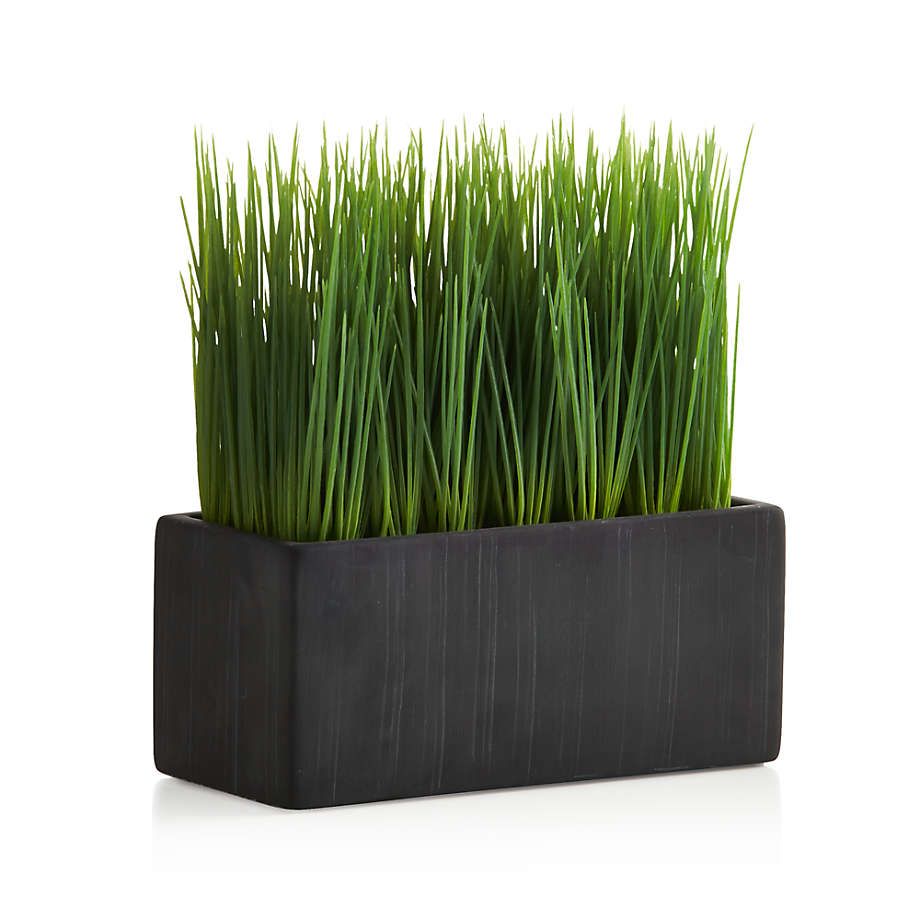 Artificial/Faux Large Potted Grass + Reviews | Crate and Barrel | Crate & Barrel