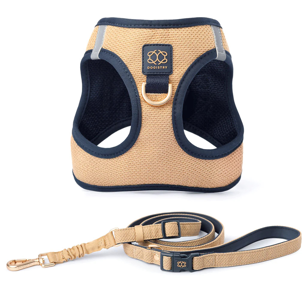 City Leash Set - Hamptons | DOGISTRY