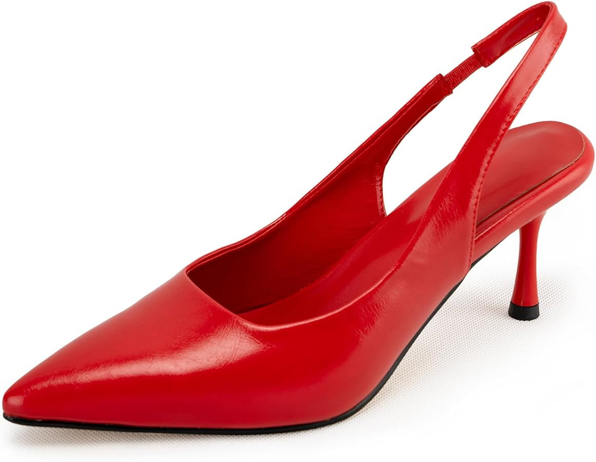 heelchic Women's Kitten Heel, Closed Pointed Toe Low Heel, Comfortable Pumps Shoes for Women Dres... | Amazon (US)