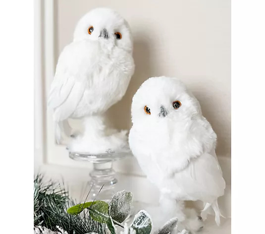 Simply Stunning Set of 2 Standing Snowy Owls by Janine Graff - QVC.com | QVC