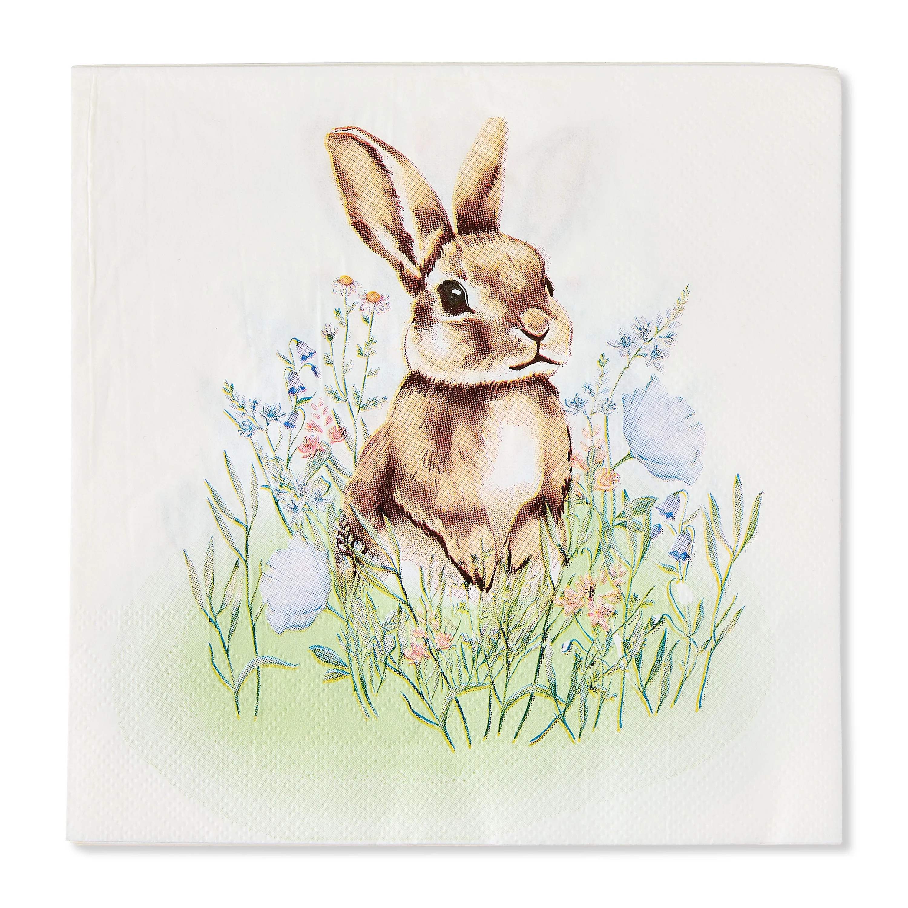 6.5" x 6.5" Multicolor Bunny Paper Napkins, 16 Count, Easter by Way To Celebrate | Walmart (US)