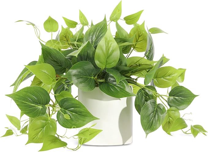 Faux Plants Indoor - Fake Potted Pothos Plant for Home Decor Artificial Greenery with White Ceram... | Amazon (US)