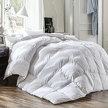Luxury Queen Size White Goose Down Feather Comforter Duvet Insert 600 Thread Count Hypoallergenic... | Amazon (US)