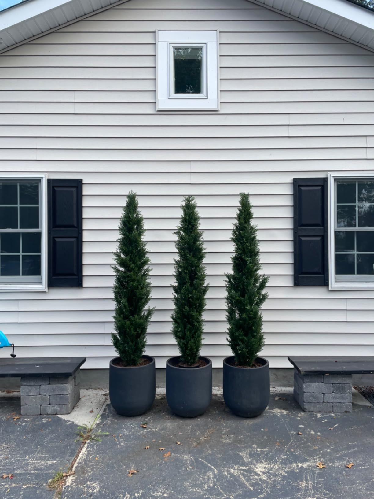 6 Foot Pre-Potted Evergreen Outdoor Artificial Cedar Tree Privacy Screen for Front Porch Decor, O... | Amazon (US)