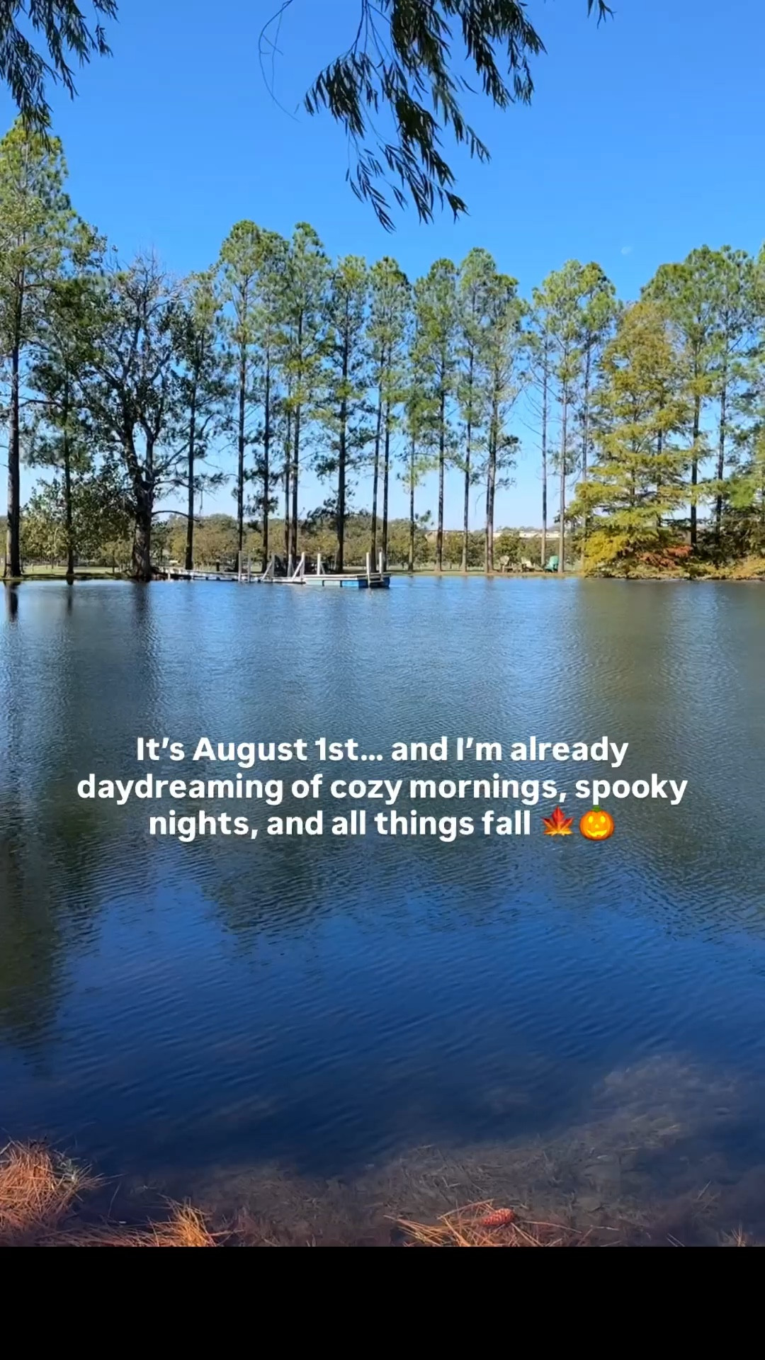 It’s August 1st… and I’m already dreaming of cozy mornings, spooky nights, and everything in between 🍂🎃

These are some of my favorite clips from past fall seasons, and they still give me all the feels 🖤
New finds, cozy DIYs, and spooky home inspo coming soon 👻

#halloween #falldecor #seasonaldecor #spookyseason #fallvibes #pumpkins 

#LTKSeasonal #LTKFindsUnder100 #LTKHome