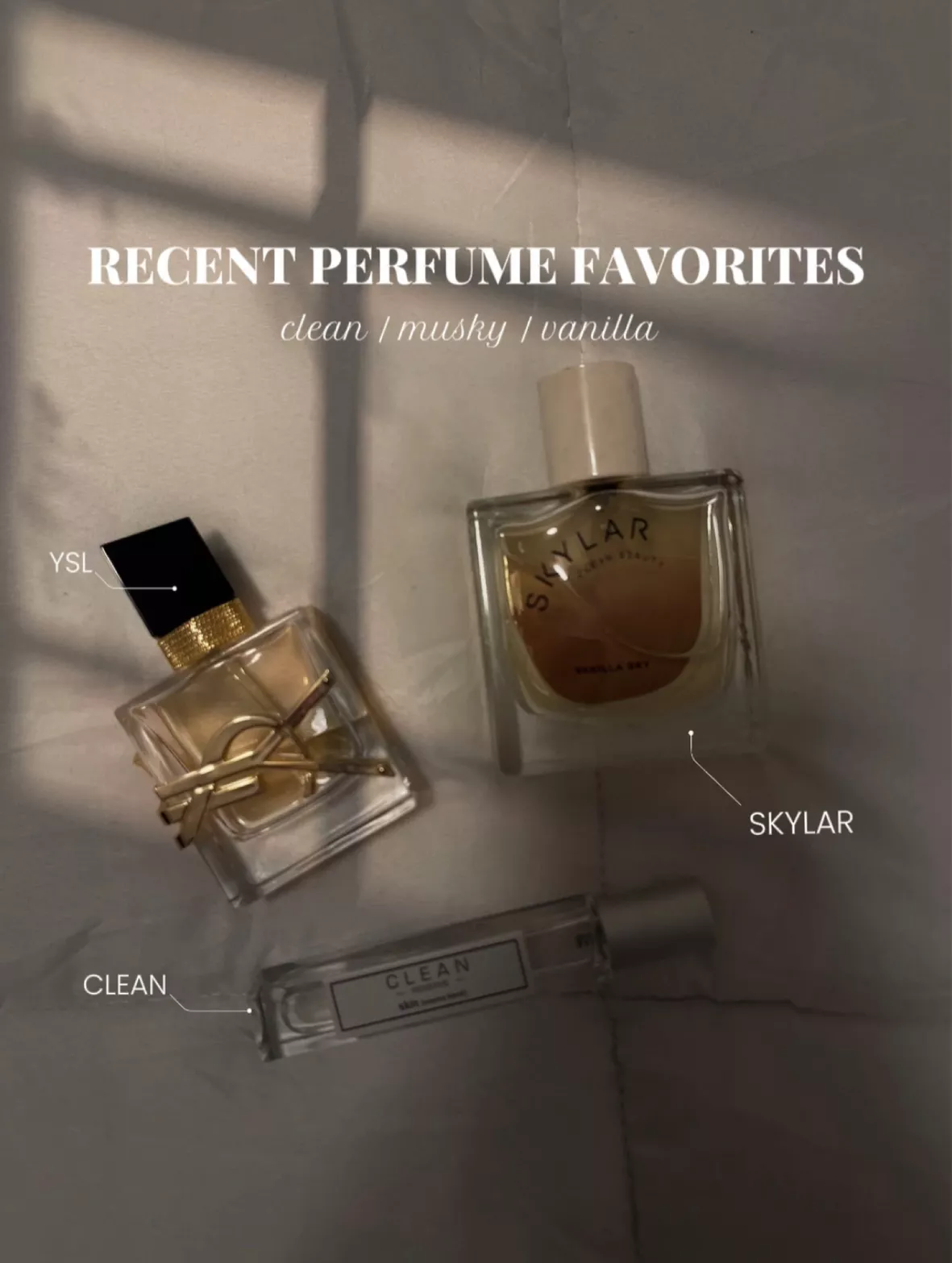 Y Eau de Parfum curated on LTK
