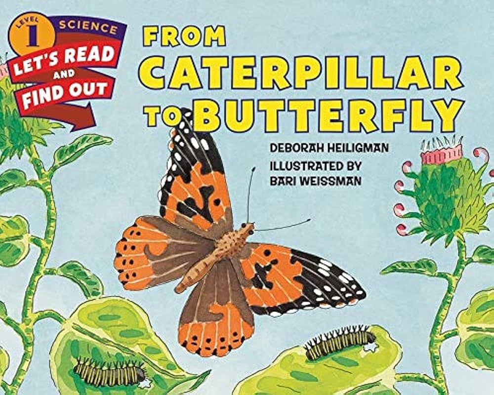 From Caterpillar to Butterfly (Let's-Read-and-Find-Out Science 1) | Amazon (US)