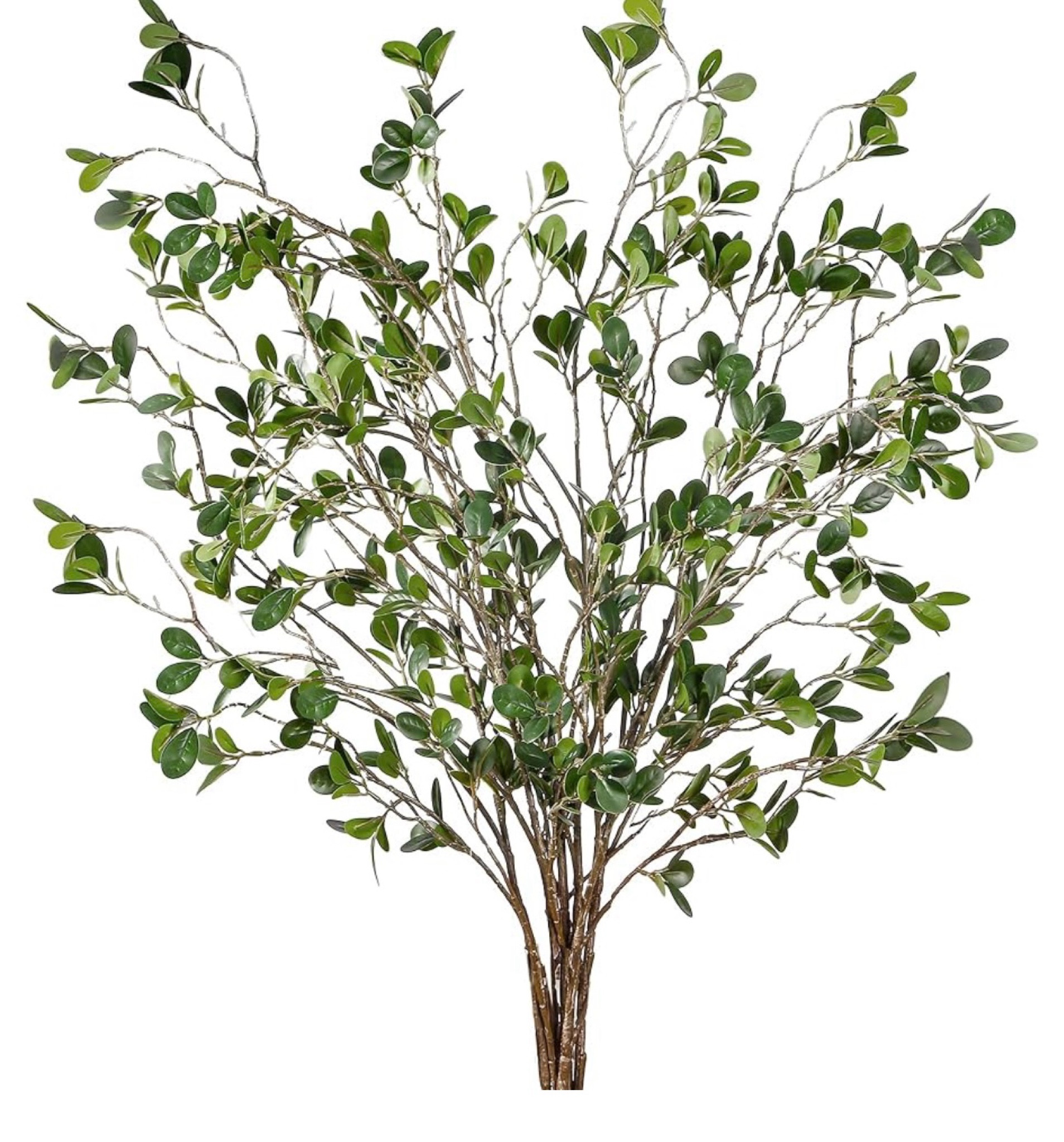 #branches

#LTKHome #LTKSaleAlert