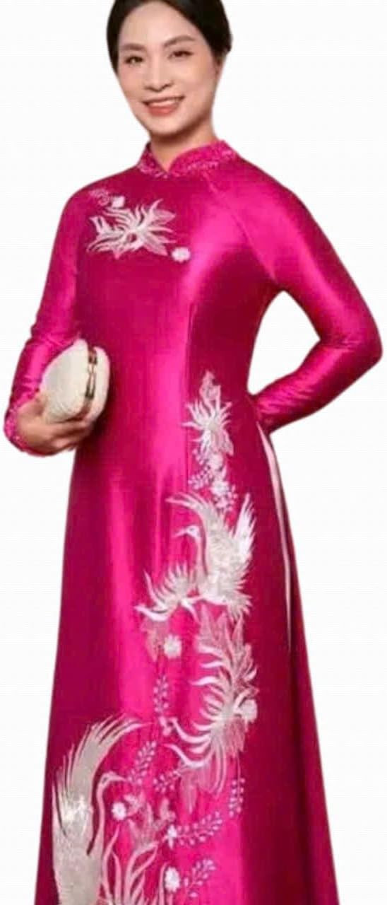 Traditional Vietnamese Women's Ao Dai, High Collar, Ruby Silk Material, Embroidery, Beading, Ao D... | Amazon (US)