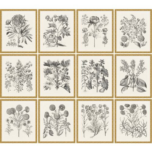 Lillian August, Bessler Study in Neutral XI | One Kings Lane