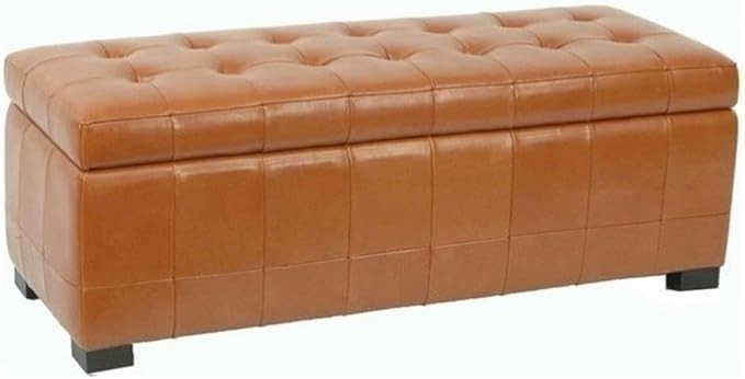 Safavieh Hudson Collection Nolita Leather Large Storage Bench, Saddle | Amazon (US)