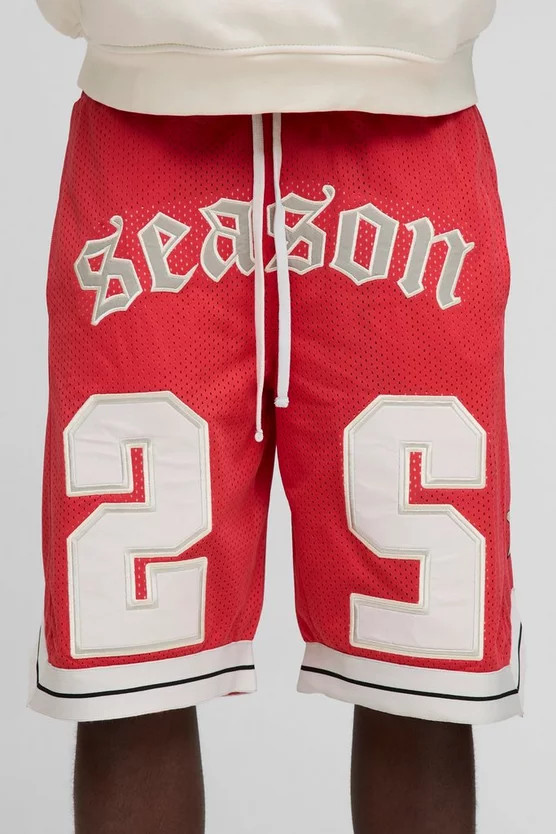 Varsity Applique Mesh Basketball Shorts | boohooMAN (US & Canada)
