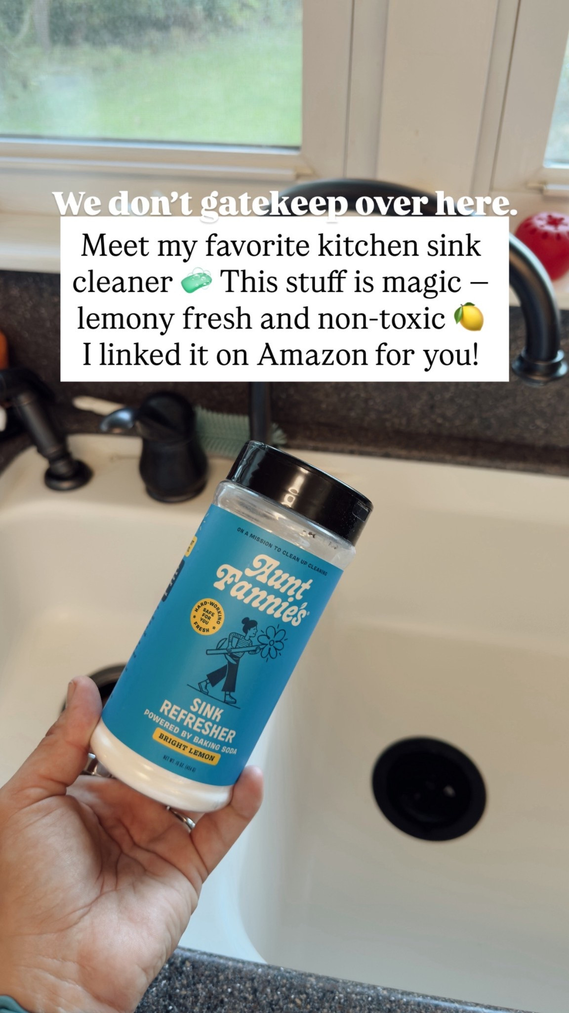 Aunt Fannie’s Sink Refresher | Natural Kitchen Cleaner | Lemon Baking Soda Scrub | Non-Toxic Cleaning Favorites
My go-to for keeping the sink fresh and odor-free 🍋 Linked on Amazon 💛


#LTKHome