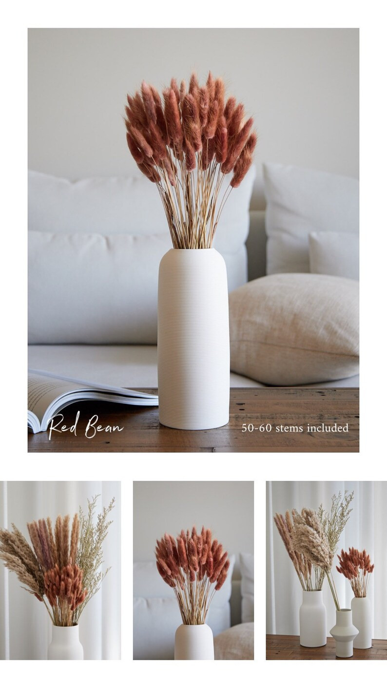 BUNNY TAILS 60 Pcs  White Dried Lagurus Pampas Grass Boho | Etsy | Etsy (ES)