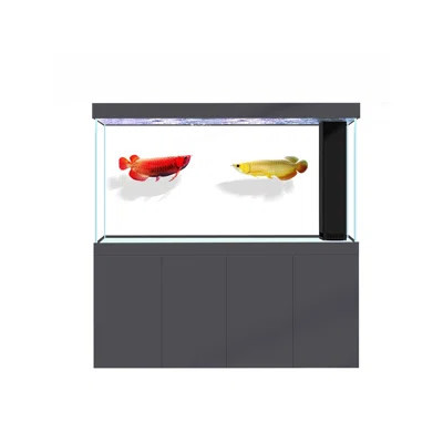 Simple Modern Rectangular Eco Aquarium Tank | Wayfair North America