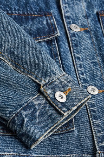Lined Borg-collar Denim Jacket | H&M (US + CA)