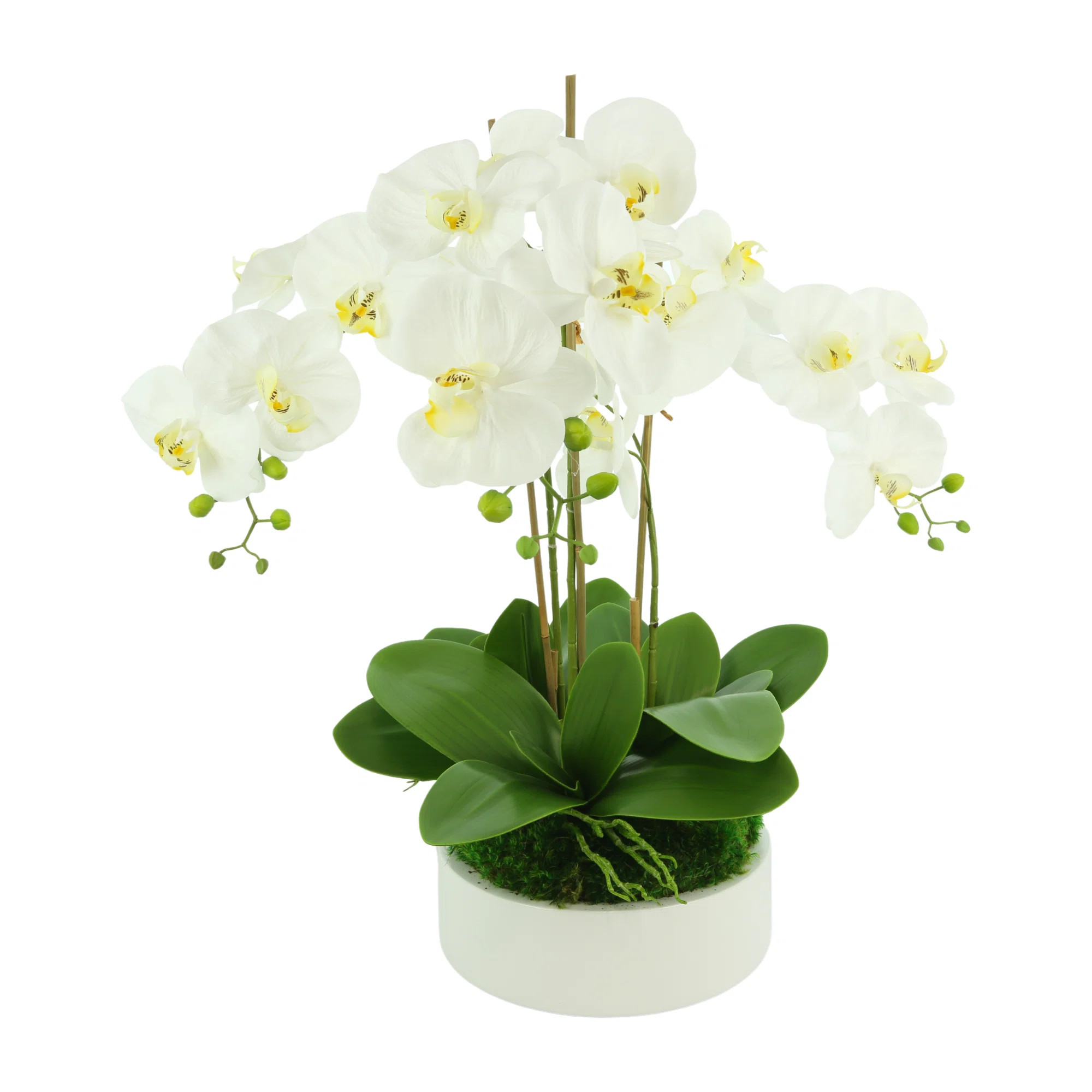 Orchid Floral Arrangement in Planter | Wayfair North America