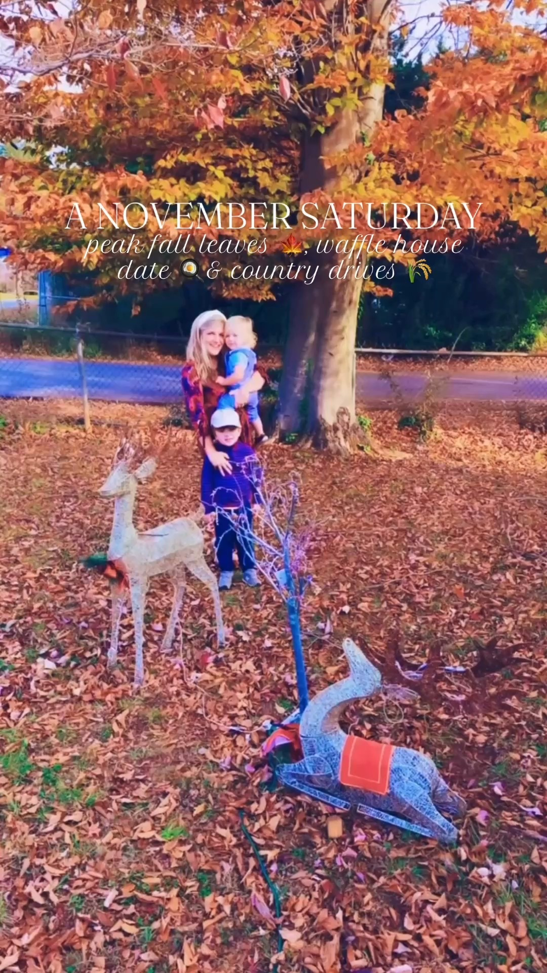 Happy Saturday, y’all!! 🧡 The gorgeous fall leaves 🍂🌿 behind our little reindeer 🦌💫 took my breath away this morning!!! 🫶🏽 And the beautiful holly berries ❤️ are popping in our bushes, too!! 🥰 So “us” haha - fall and Christmas all together!! 🤭🎄🦃🍁 Joy joy joy - the most wonderful time of the year is here!!! ✨ Oh how we look forward to this all year long!!! 🦌😍🫶🏽🦃🌲🪄💫

And a special lil’ Saturday morning brunch at Waffle House with these cuties is where it’s at y’all!! 🧇☕️😋🍳 Sweet Baby Levi Rhett 👶🏼 was smiling ☺️, waving 👋🏼, and blowing kisses 😚😘 at everyone who walked by 🥰 - our sweet baby boy!!! 🤭😍 Then time for the sweetest little car naps 💤 while driving through these gorgeous views 🌄 with my honey 🍯 - hearts just so full!! 🫶🏽  #countryroadstakemehome

| Motherhood | Country Living | Homemaker | Stay at Home Mom | Joyful Motherhood | Farm Sweet Farm | Raising Country Babies | Faith | Baby and Toddler Days | Boy Mama x 2 | SAHM | These are the Days | Life with a Baby and Toddler | Full Hands Fuller Hearts | Fall with Littles | November Memories | The Holiday Season | November with Little Ones 

…

#emilysayswes #judsoncarpentermabry #levirhettmabry #familyoffour #mommyblogger #stayathomemommy #boymamax2 #mommyblogger #sahm #mamaoftwo #stayathomemom #fallfun #novembermemories #LTKFall #LTKfamily #LTKBaby @shop.ltk

#LTKFamily #LTKBaby #LTKKids