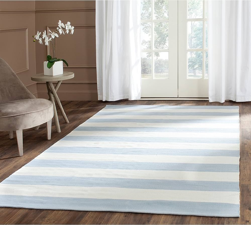 SAFAVIEH Montauk Collection Area Rug - 6' x 9', Sky Blue & Ivory, Handmade Flat Weave Boho Farmho... | Amazon (US)