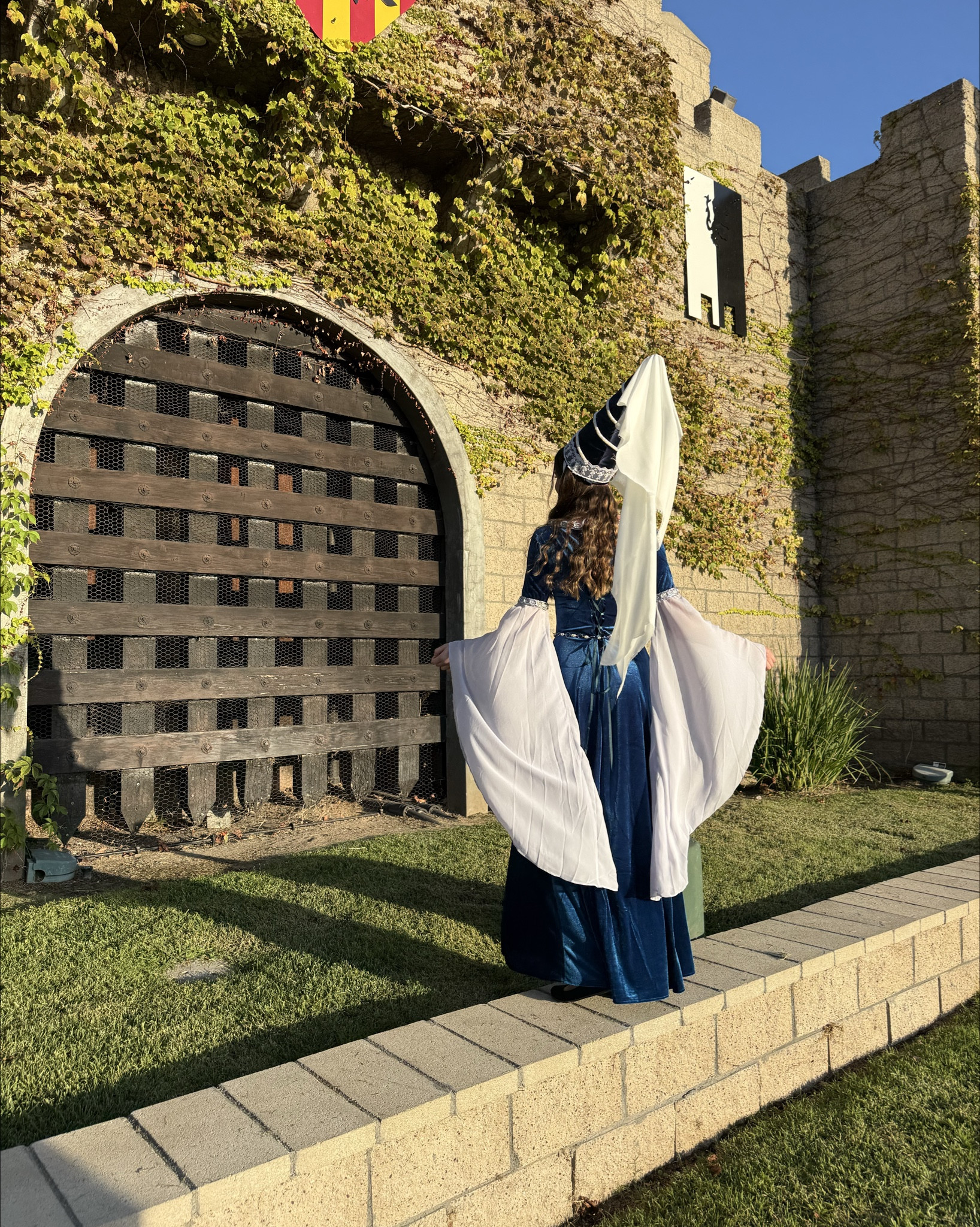 medieval princess dress Renaissance fair outfit inspo fantasy gown 👑👸🏼

#LTKHalloween