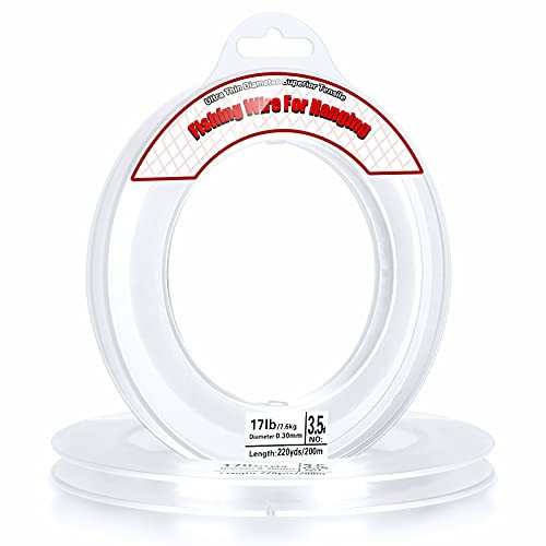 Fishing Line Clear, Acejoz 656FT Clear Fishing Wire for Hanging, 200 Meters 0.3mm Nylon String Supports 17 Pounds, Invisible Fishing Line for Balloon Garland Hanging Decorations Beading and Crafts… | Amazon (US)