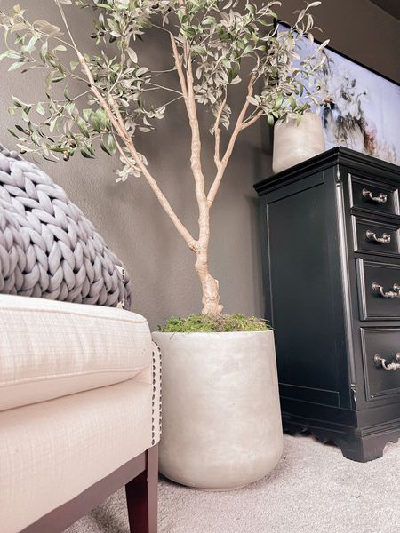 
I finally found the perfect affordable faux olive tree and cement-inspired pot for my room makeover project! Now if only I could find curtains, a dresser, bedside tables, a built-in fireplace, and wood beams to add to the ceiling… but one step at a time. This is sure to be an ever-evolving project, and I'm so excited to see how it turns out. Patience is key! 

Right now there is a 30% off coupon for the olive tree!!! 

🤗🌳❤️

#roomreno
#interiordesignergoals
#fauxolivetree
#cementpot
#designgoals
#diy
#homediy
#diyprojects
#mastersuite
#masterbedroomoasis
#moodymaster
#relax
#fireplace
#woodbeams
#curtains
#customecurtains
#interiordesign


#LTKunder100 #LTKhome #LTKsalealert