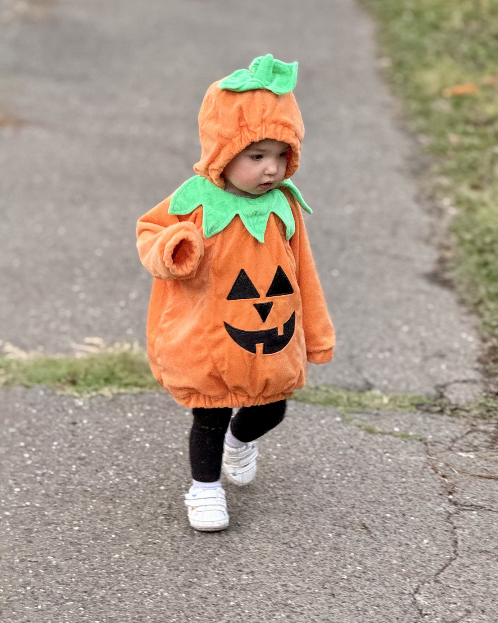 Still squealing a year later at my little pumpkin! Target still has this costume and I wish I had another little one to squeeze into this! 

It’s so soft and comfy and easy to take on and off for diaper changes/potty breaks  

#LTKSeasonal #LTKHalloween #LTKKids