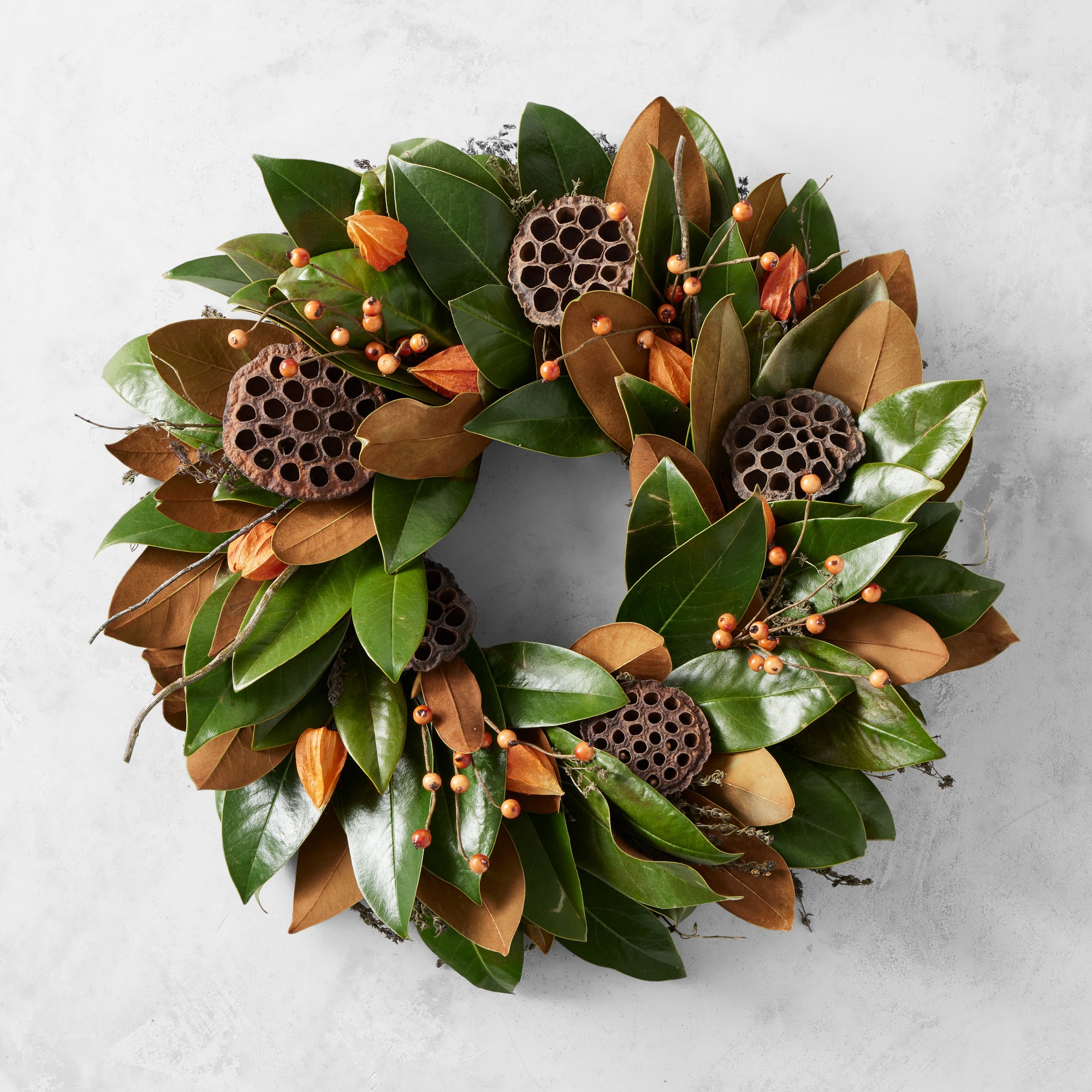 Magnolia Lantern Live Wreath, 18" | Williams-Sonoma