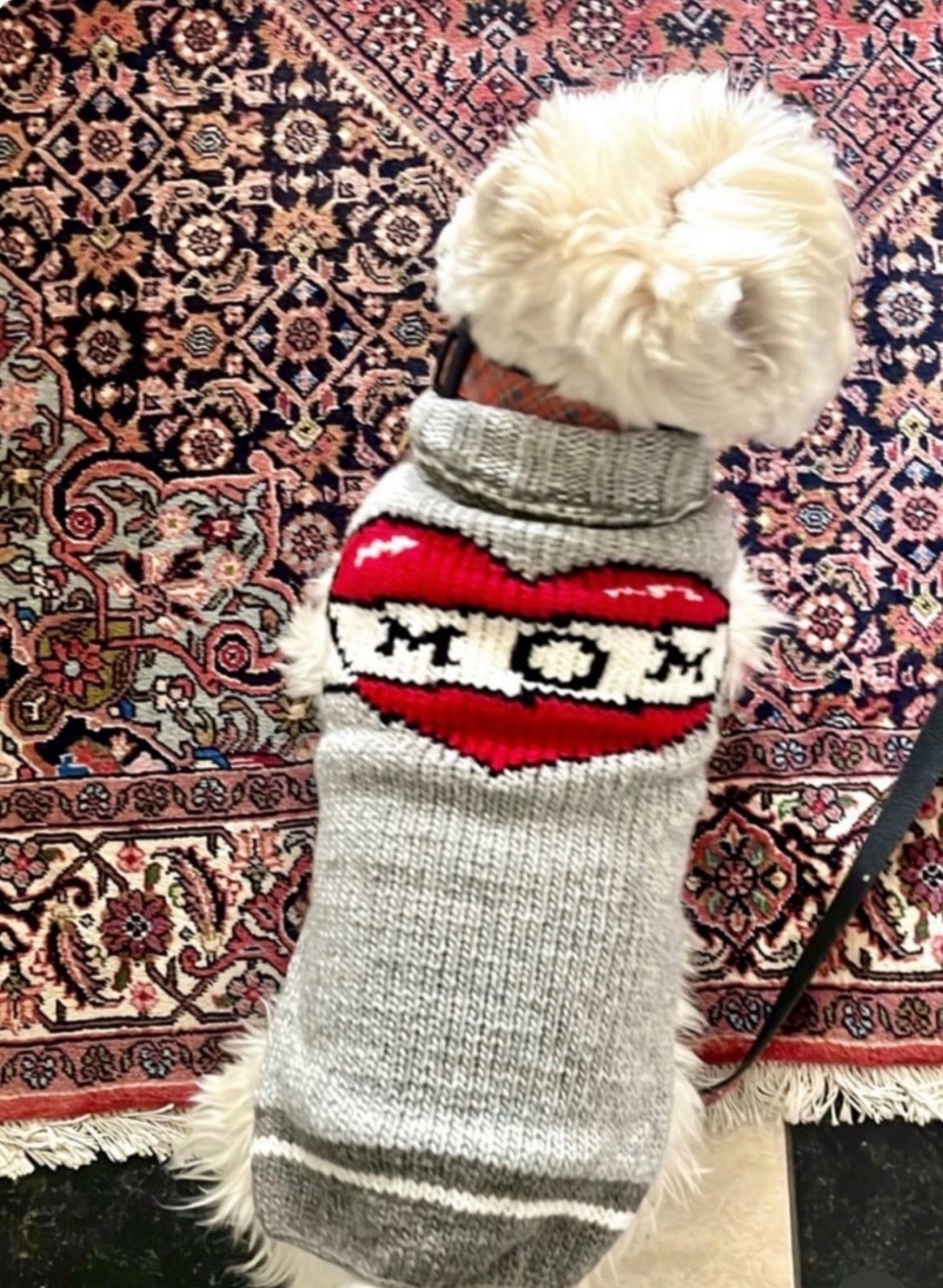Everyone loves Wellie’s Mom sweater - this dog sweater is the perfect way for your dog to profess his or her love for Mom! Find it here..

#LTKHoliday #LTKGiftGuide #LTKmomlife