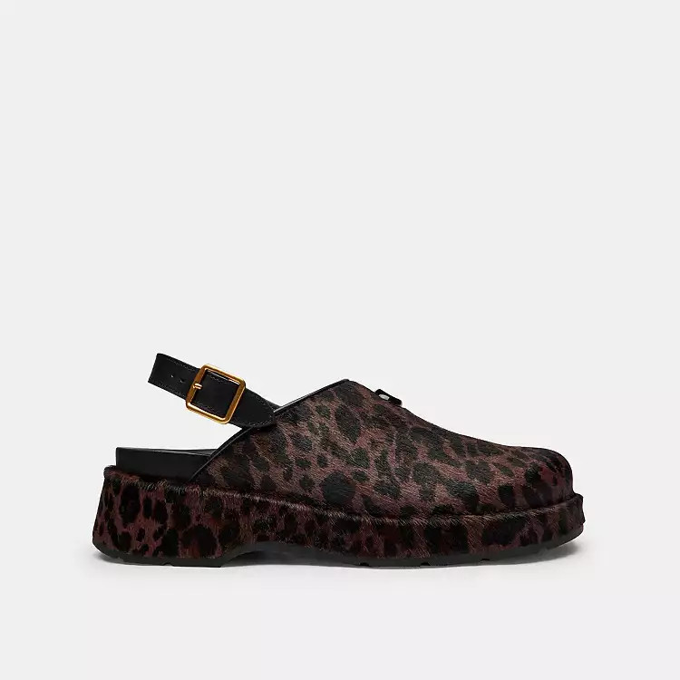 Sculpted C Platform Clog With Leopard Print | Coach (US)