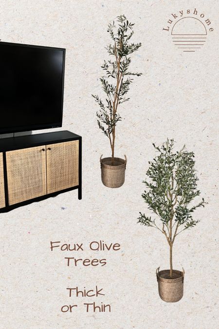Deciding between these two! Top rated & gorgeous olive trees! 

#LTKstyletip #LTKhome