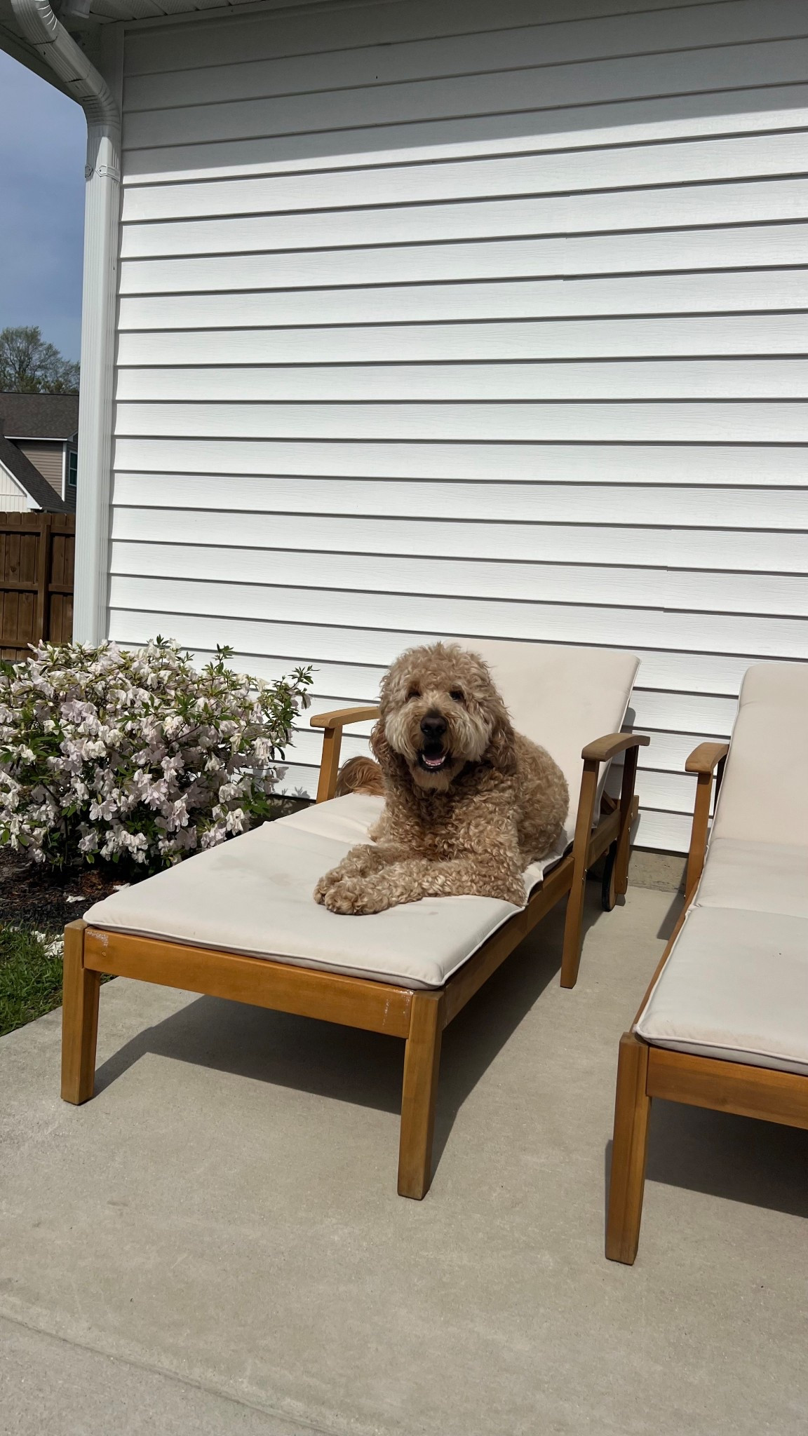 outdoor loungers 

#LTKHome #LTKFamily #LTKSaleAlert