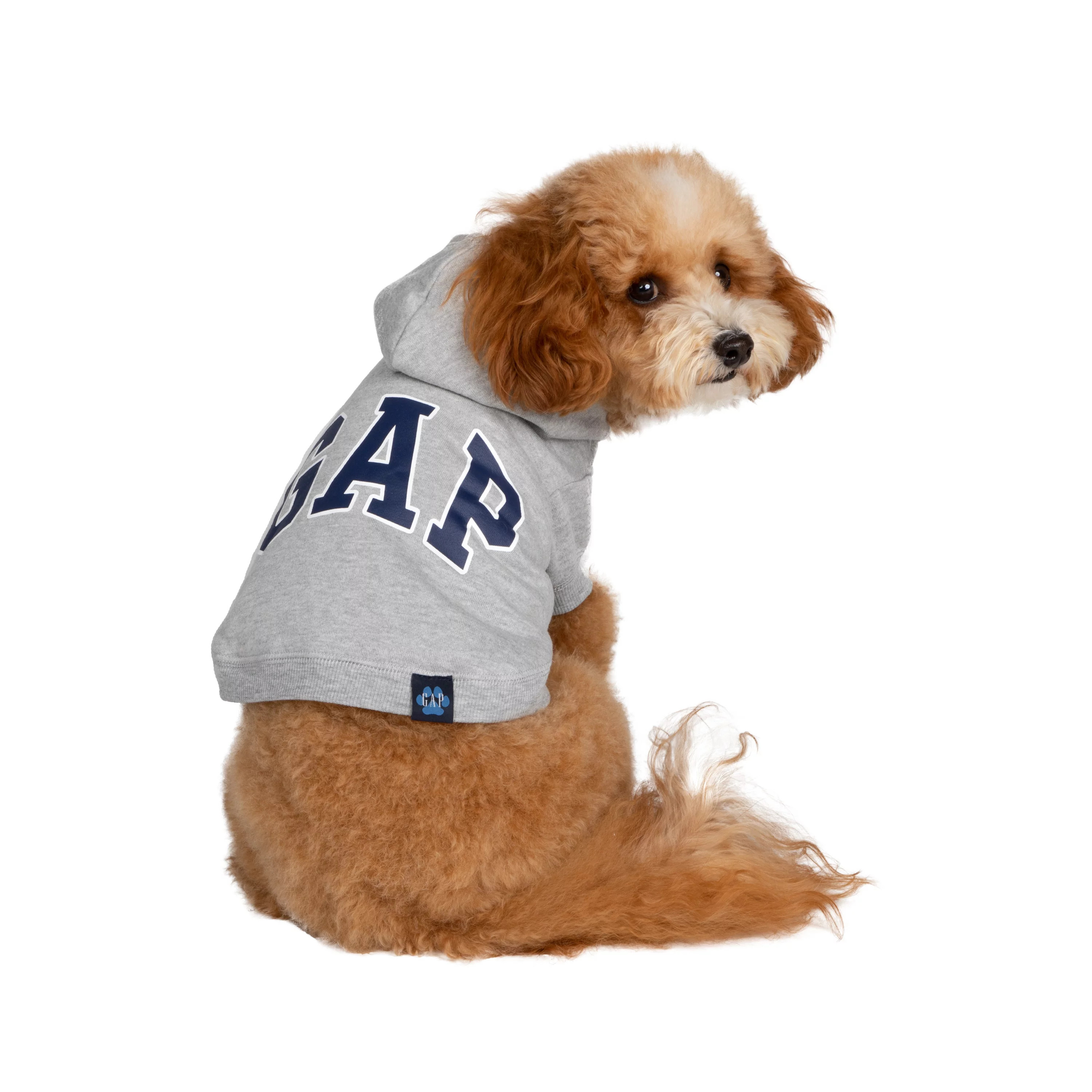 Gap Pet, Dog Clothes, Gray Classic Pet Hoodie | Walmart (US)