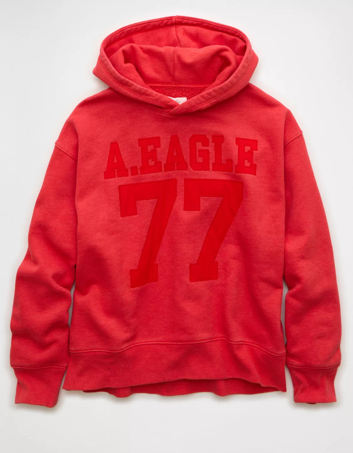 AE Everyday Luxe Graphic Hoodie | American Eagle Outfitters (US & CA)