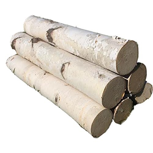 White Birch Log Set for Fireplace | Amazon (US)