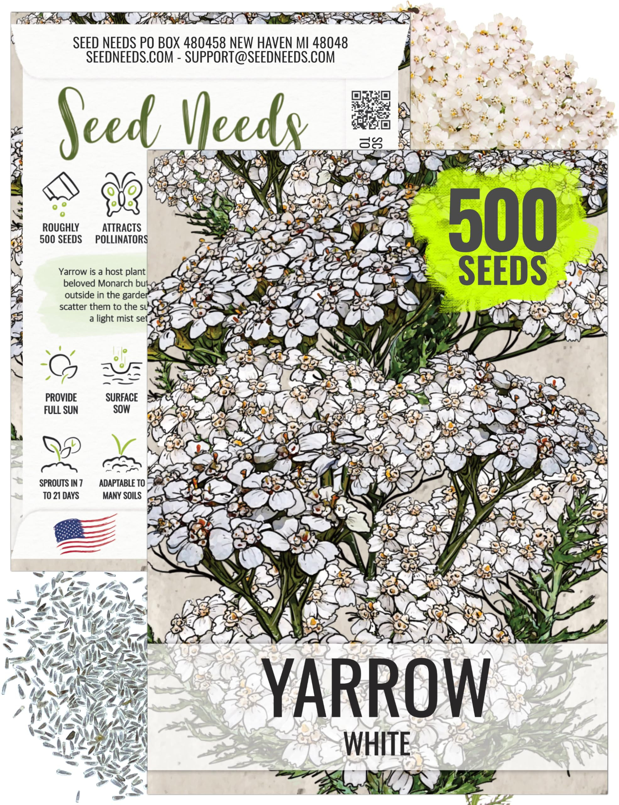 Seed Needs, White Yarrow Seeds - 500 Heirloom Seeds for Planting Achillea millefolium - Perennial Host Plant to Attract Monarch Butterflies & Other Pollinators (1 Pack) | Amazon (US)