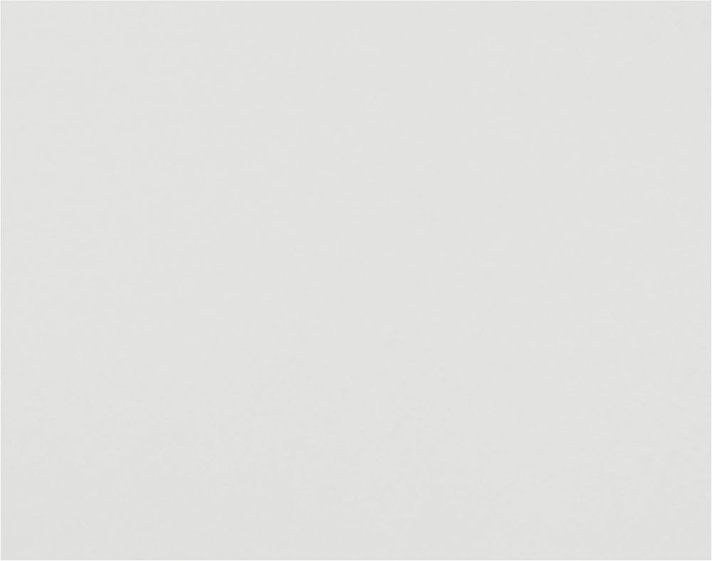 Pacon 4-Ply Railroad Board, White, 22" x 28", 25 Sheets | Amazon (US)