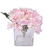 Vickerman 5" Artificial Pink Hydrangea in 3" Glass Cube, 3 Piece Set | Amazon (US)